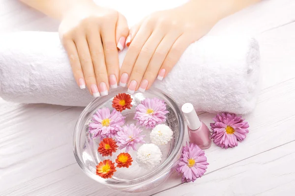 Manicure francês com crisântemo colorido — Fotografia de Stock