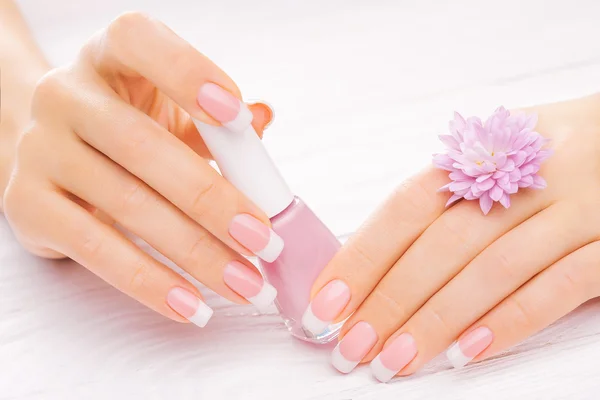 Manicure francês bonito em branco — Fotografia de Stock