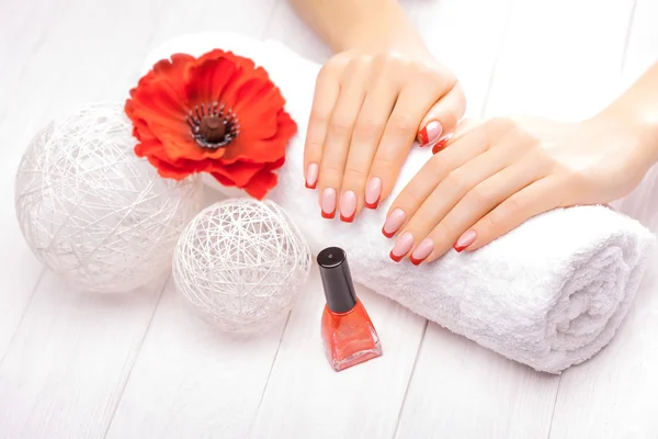 French manicure with red poppy flower — Stock Photo, Image