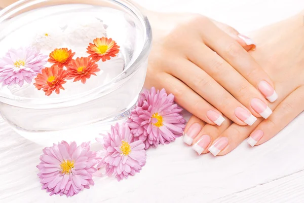 Manicura francesa con crisantemo colorido — Foto de Stock