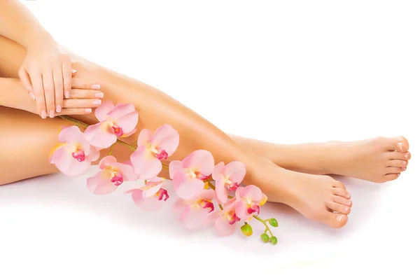 Manicura relajante y pedicura con una flor de orquídea rosa — Foto de Stock