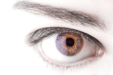 güzel kadın göz makro çekim