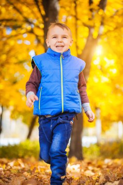 mutlu çocuk sonbahar Park