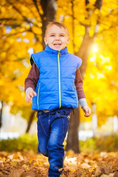 Щасливий хлопчик в осінньому парку — стокове фото