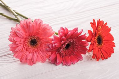 Ahşap masada renkli Gerbera çiçekleri