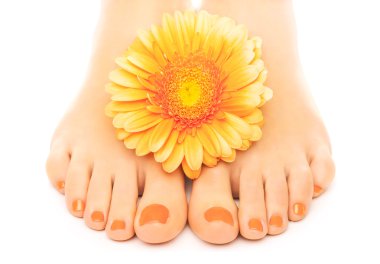 gerbera ile güzel turuncu manikürlü tırnaklar