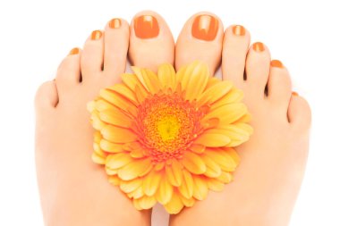 gerbera ile güzel turuncu manikürlü tırnaklar