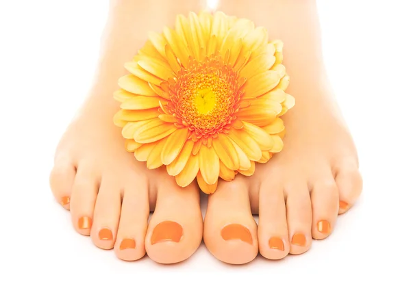 Beaux ongles orange manucurés avec gerbera — Photo