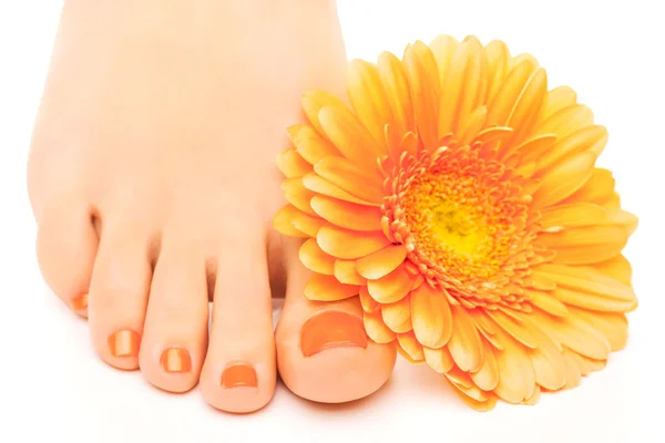 Vackra orange manikyrerade naglar med gerbera — Stockfoto