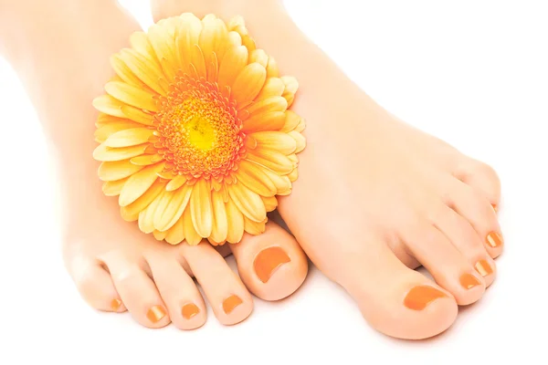 Vackra orange manikyrerade naglar med gerbera — Stockfoto