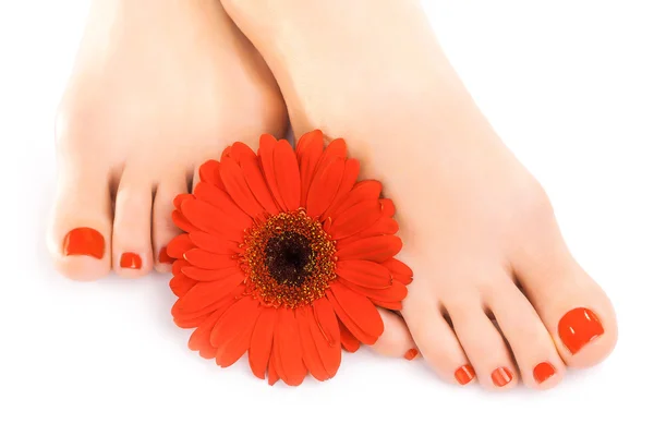Krásné červené pěstěné nehty s gerbera — Stock fotografie