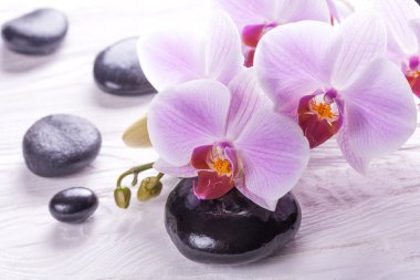 Spa ve banyo ile orkide