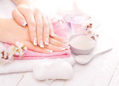 Manikür temel yağlar, kayısı çiçek ile Fransız. Spa