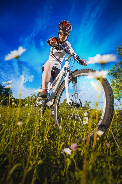 Woman is riding bicycle outside — Stock Photo, Image