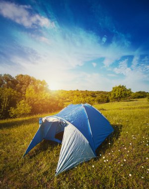 Orman kampındaki çadır çayırların arasında.