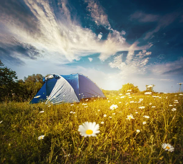 Tourist tent in forest camp among meadow — Stock Photo, Image