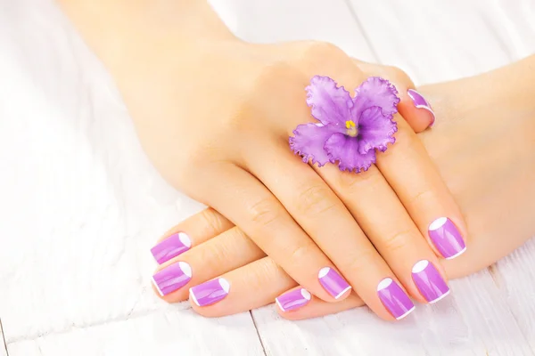 Francuski manicure z fioletowe kwiaty. Spa — Zdjęcie stockowe