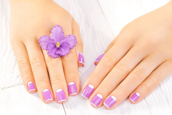 French manicure with violet flowers. spa — Stock Photo, Image