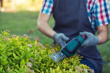 Kadın bahçıvan bahçede elektrikli makasıyla çalıları buduyor.