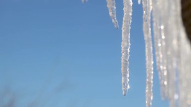 Mavi arkaplanda uzun doğal buz saçakları