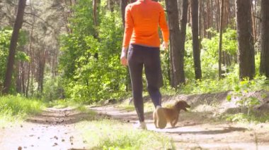 Çam ormanında yeşil bir alanda sahibiyle koşuyor.