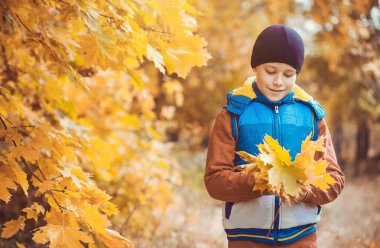 sonbahar ağaçlar bir arka plan üzerinde komik çocuk