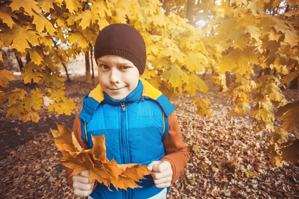 Divertido niño en un fondo de árboles de otoño —  Fotos de Stock