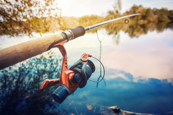 Canna da pesca vicino stagno al mattino — Foto Stock