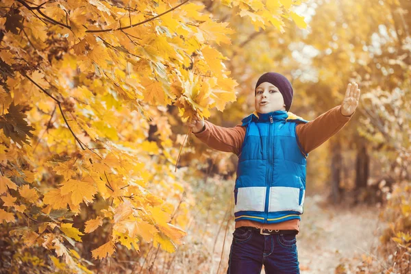 Lustiges Kind auf einem Hintergrund von Herbstbäumen — Stockfoto