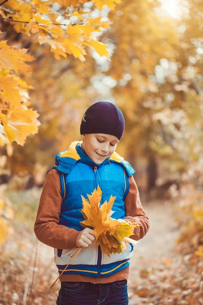 Funny kid på en bakgrund av höstträd — Stockfoto