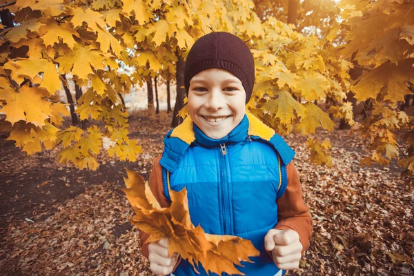 Divertido niño en un fondo de árboles de otoño —  Fotos de Stock