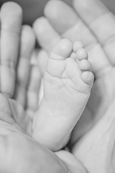 Detalle Dedo Recién Nacido Entre Las Manos Madre Blanco Negro — Foto de Stock