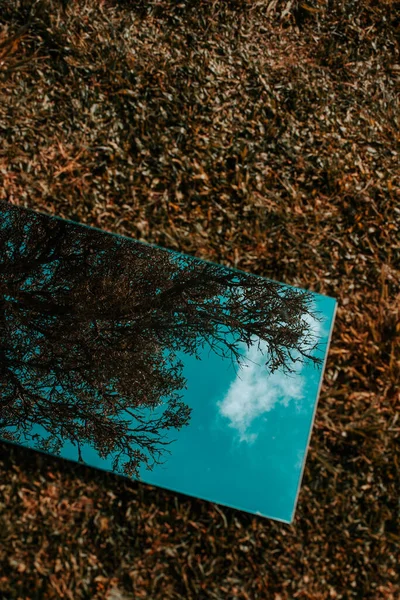 Riflessione Uno Specchio Con Una Scena Rurale Alberi Fiori — Foto Stock