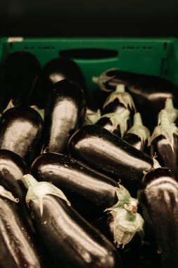 Reklam sepetinde patlıcan grubu.