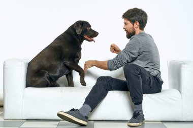 Sahibi köpekle beyaz bir kanepede oynuyor. Parlak bir odada. Yakın planda çekilmiş eğlenceli bir manzara.