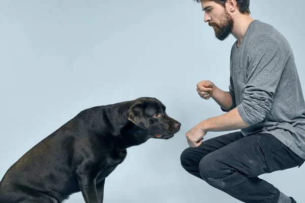 Der Mann trainiert den Hund drinnen und gestikuliert mit den Händen, um die Befehle des Modells auszuführen — Stockfoto