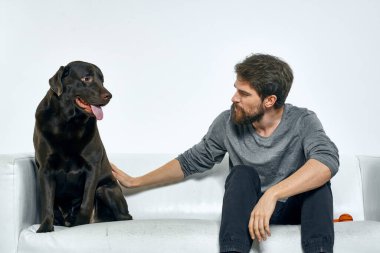 Erkek sahibi kanepede köpekle oynuyor. Eğlenceli ışık odası arkadaşları evcil hayvanı eğitiyor.