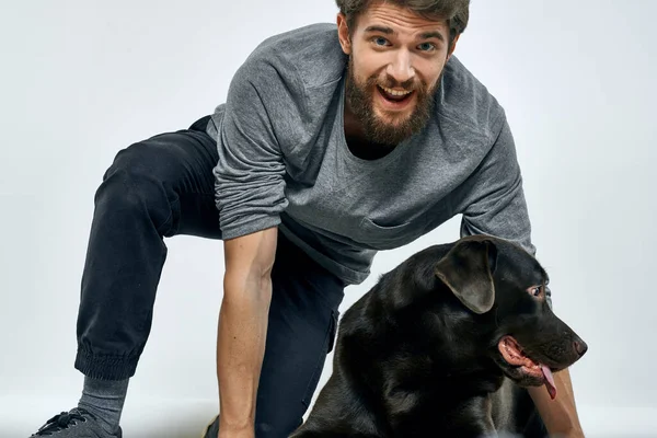 Man with dog training gray ring doing exercises pets light background.