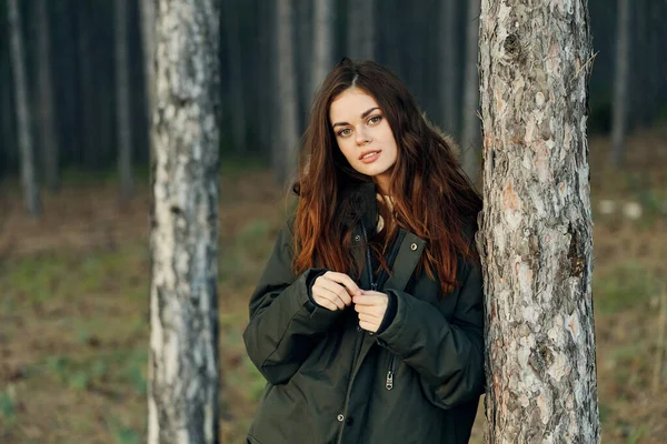 Mujer excursionista en el bosque cerca del árbol de viaje —  Fotos de Stock