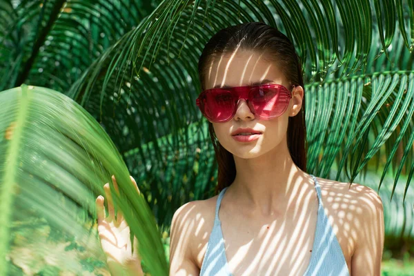 Woman in a swimsuit among green leaves of a palm tree and glasses — Stock Photo, Image