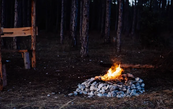 Bonfire in the forest Here nature evening tourism travel romance — Stock Photo, Image