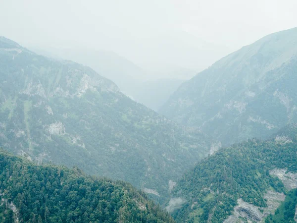 산의 신선 한 공기 증기 안개 나무아름다운 풍경 — 스톡 사진