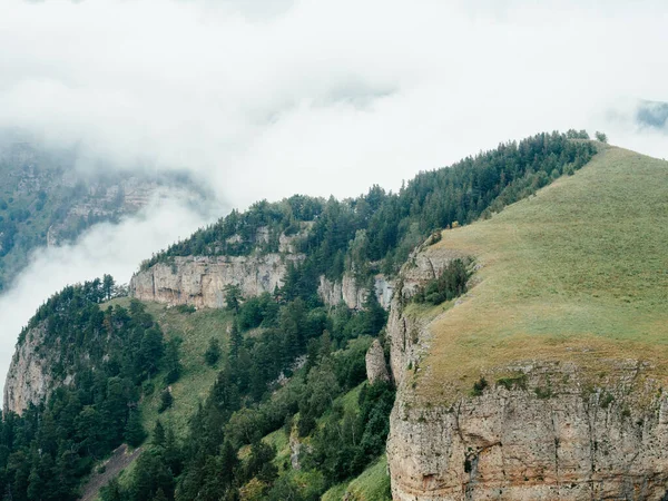 Berge Natur frische Luft Dampf Nebel Bäume schöne Landschaft — Stockfoto