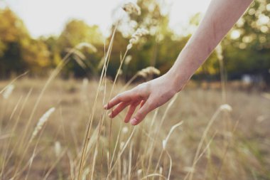 Kadınlar doğada buğday, ağaçlarda yaz tatilinde el ele tutuşur.