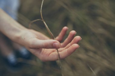 Kırsal kesimde buğday tarlasında güneşli elbiseli bir kadın.