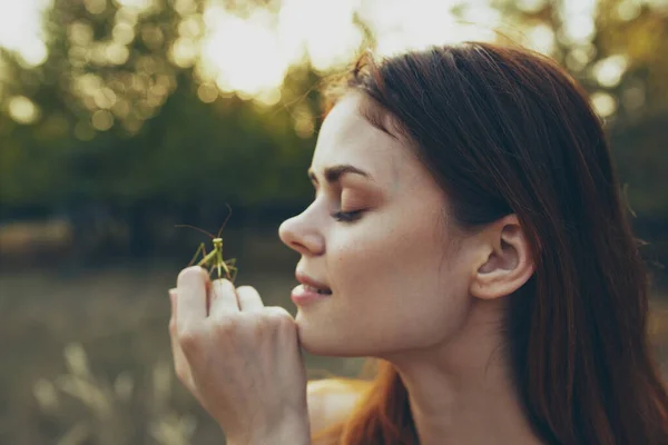 Hermosa mujer sostiene una mantis religiosa en su mano en la naturaleza en un prado en verano —  Fotos de Stock