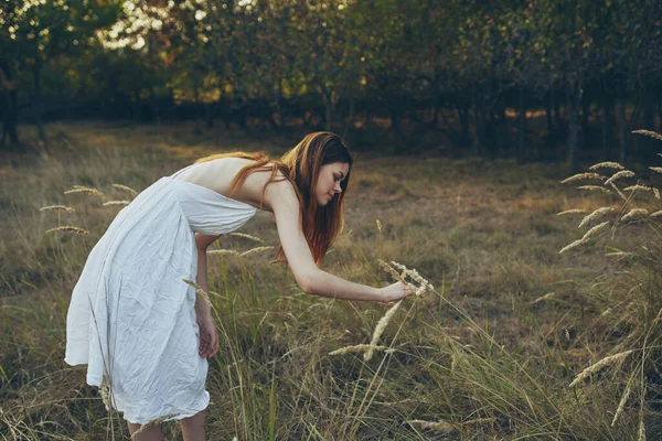밀 밭에서 일광욕을 하고 있는 여자 — 스톡 사진