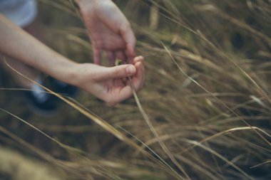 Kırsal kesimde buğday tarlasında güneşli elbiseli bir kadın.
