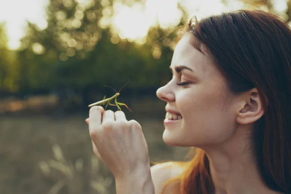 Hermosa mujer sostiene una mantis religiosa en su mano en la naturaleza en un prado en verano —  Fotos de Stock