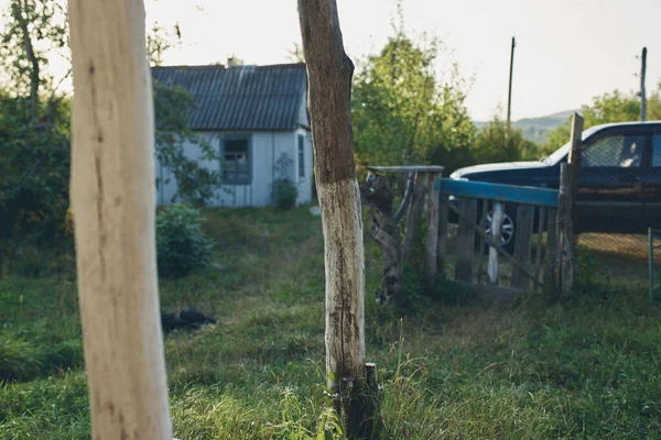 Wieś natura drzewa budowa samochód zielony trawa gospodarstwo — Zdjęcie stockowe